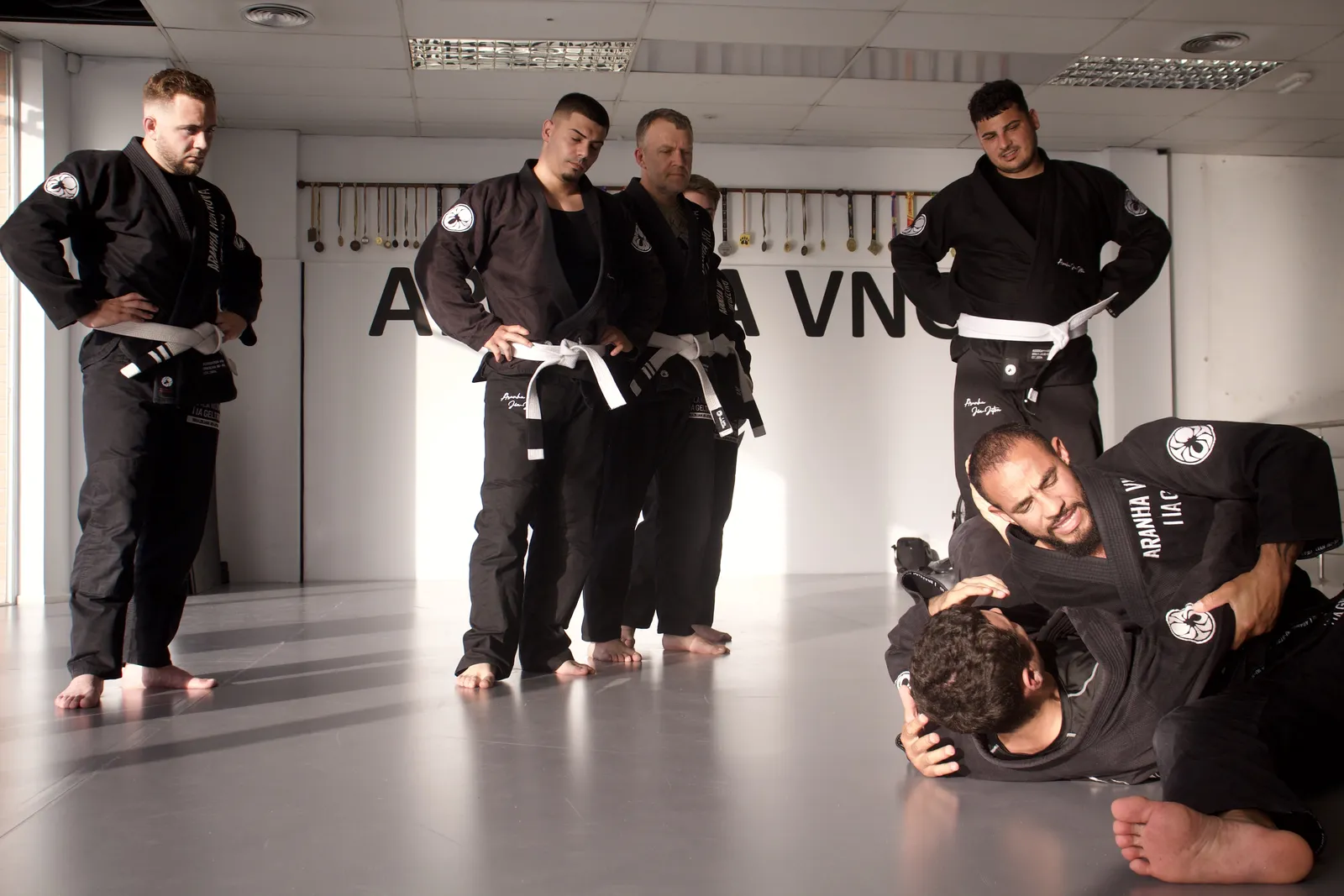 Brazilian Jiu-Jitsu